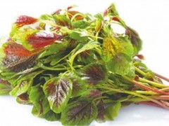 苋菜怎么吃最有营养 苋菜的营养价值