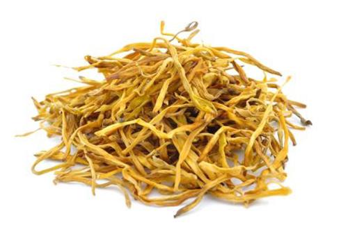 金针菜 金针菜