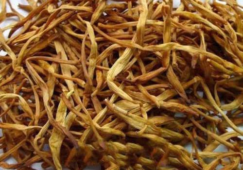 金针菜 金针菜