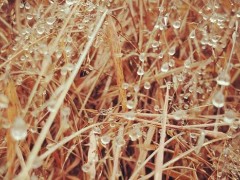寒露穿什么衣服 寒露节气穿什么裤子