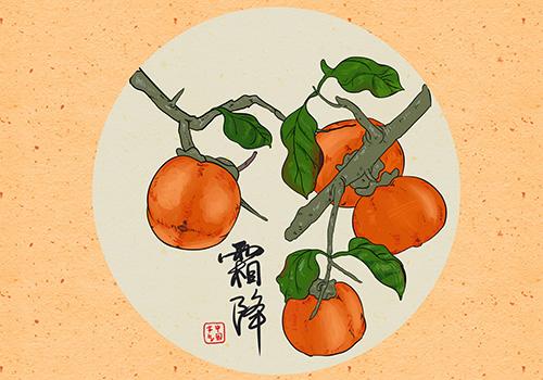 柿子 柿子