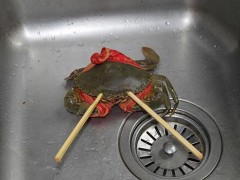 青蟹死了有毒吗 青蟹死了为什么不能吃