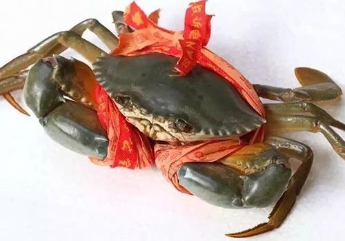 青蟹