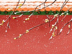 立冬是什么意思啊 立冬冷吗