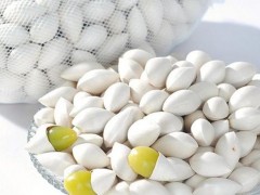 白果可以治痘痘吗 白果祛痘有用吗