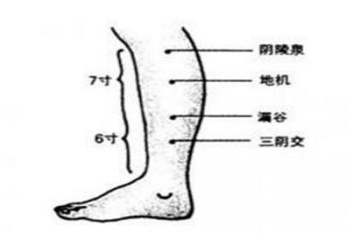 按摩阴陵泉的作用