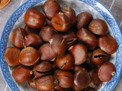 煮板栗要多长时间 煮板栗要放盐吗