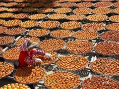 柿饼什么时候上市 柿饼在哪里产