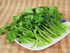芫荽是什么 芫荽是香菜吗