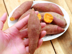 红薯的热量高吗 米饭和红薯哪个热量高