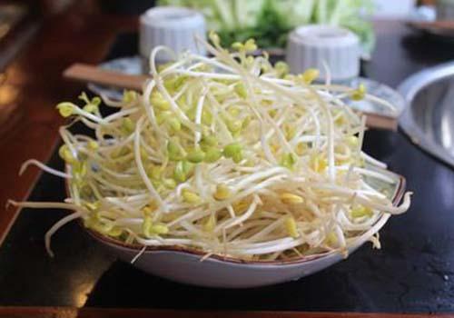 豆芽