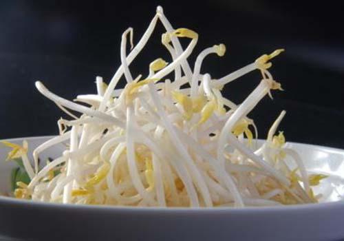 豆芽