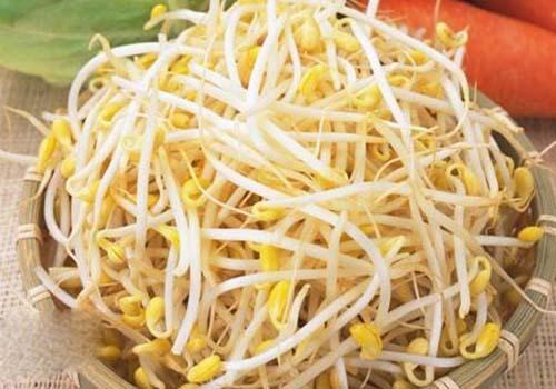 豆芽