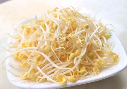豆芽