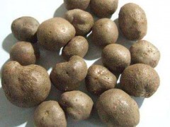山药豆发芽了还能吃吗 山药豆怎么放才不发芽