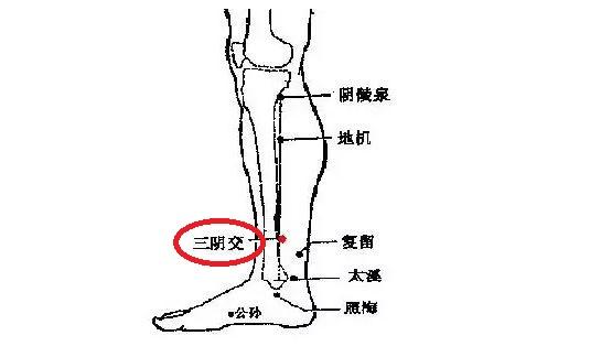 艾灸三阴焦