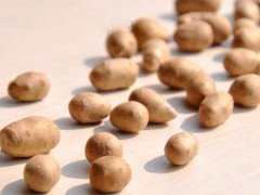 山药豆是山药的种子吗 山药豆是山药长的吗