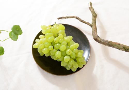葡萄 葡萄