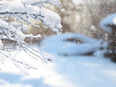 2018年小雪是哪一天 小雪的天气特点