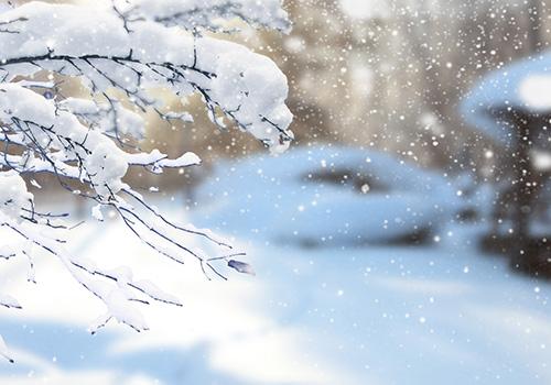 小雪