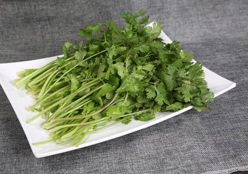 香菜