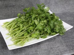 香菜变黑了还能吃吗 香菜属于发物吗