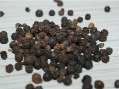 黑胡椒的功效与作用