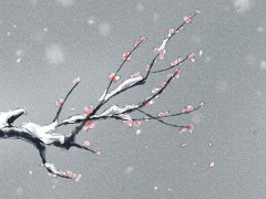 三九天如何养生 为什么要在三九天养生