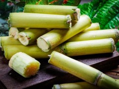 甘蔗为什么要烤着吃 用什么烤甘蔗方便