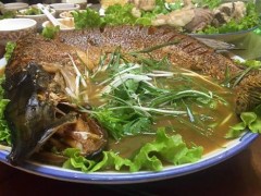 狗鱼的功效与作用