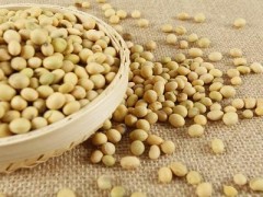 泡好的黄豆怎么做好吃 泡好的黄豆煮多久能熟