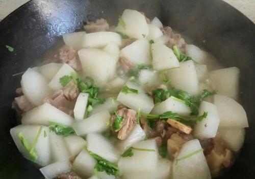 牛肉炖萝卜