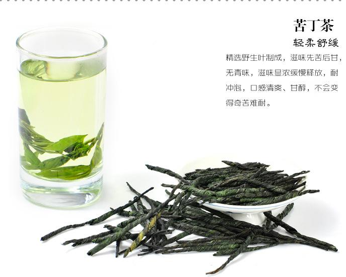 苦丁茶的功效与作用及食用方法