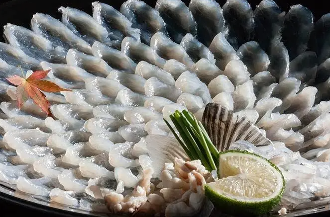 河豚鱼的做法 河豚鱼鱼皮可以吃吗