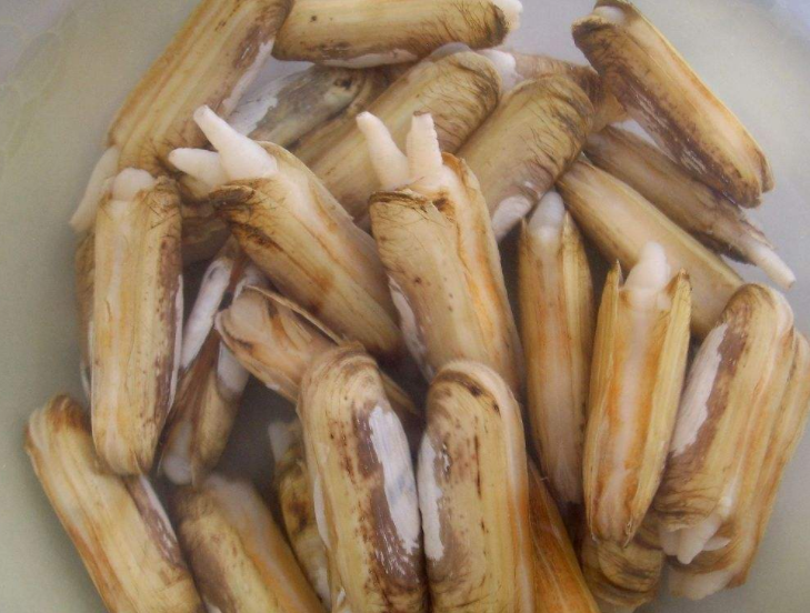 蛏子怎么快速挤出内脏 干货蛏子肉怎么做好吃