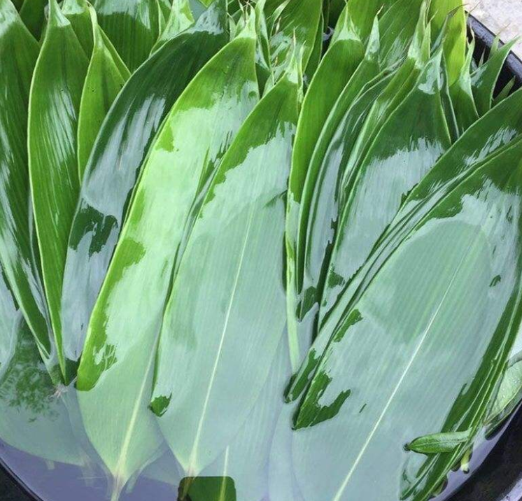 粽子叶直接煮可以吗 粽子叶煮多长时间