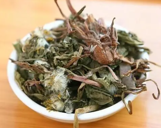 蒲公英要怎么晒干 蒲公英如何晒干保存