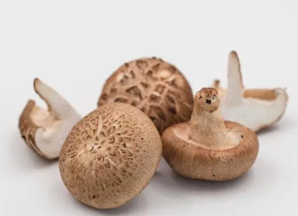 排毒清热去火时令菜