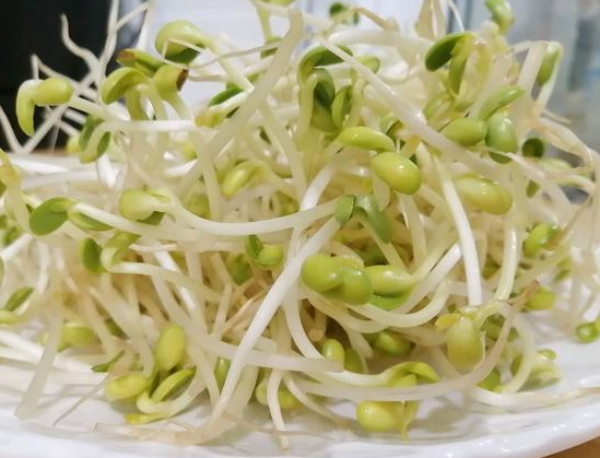 吃豆芽帮你治疗5种常见病