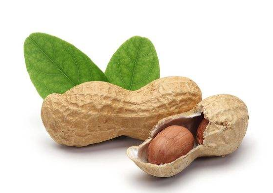 六种性格女性食疗方