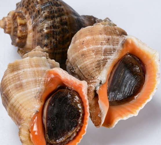 夏季饱口福 美味海鲜需小心