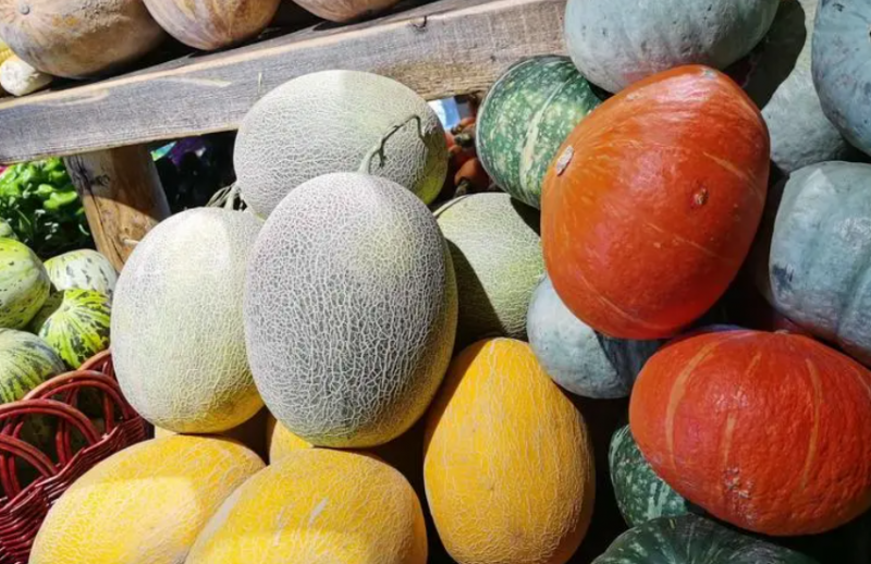 瓜果蔬菜赶走夏季酷热