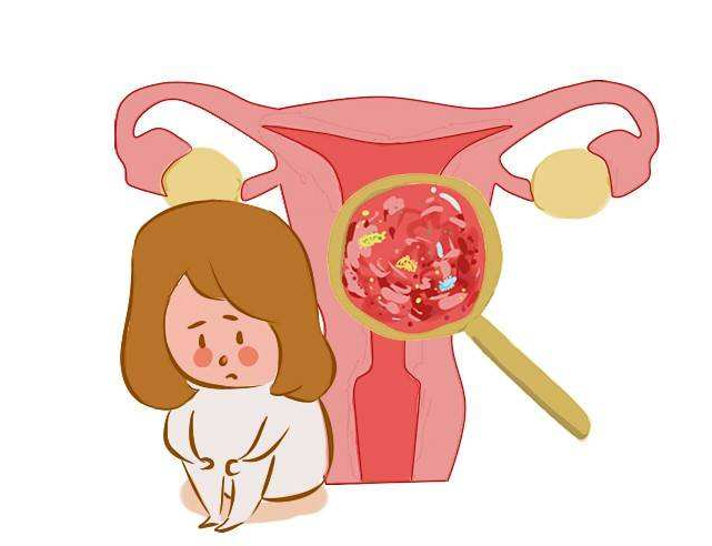 不用再乱七八糟 食疗让女性月经规规矩矩