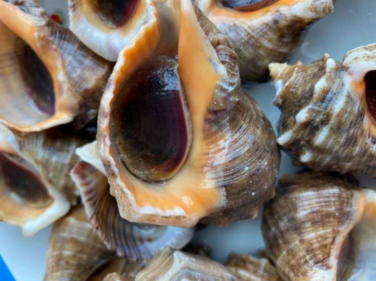 来自夜宵的美味，它正在慢慢侵害你