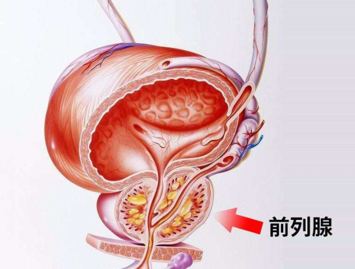 让众人过敏的这物竟能对抗难言之隐