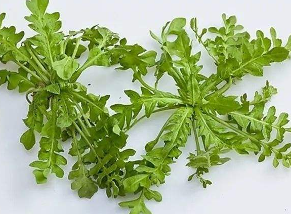 为了挚爱的家人，餐桌上得有它