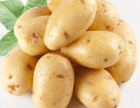 马铃薯是土豆吗