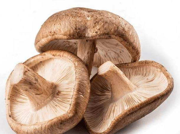 降压降脂的&ldquo;天然药&rdquo;其实就在你身边