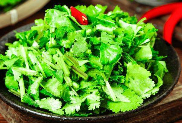 香菜的营养与药膳食疗