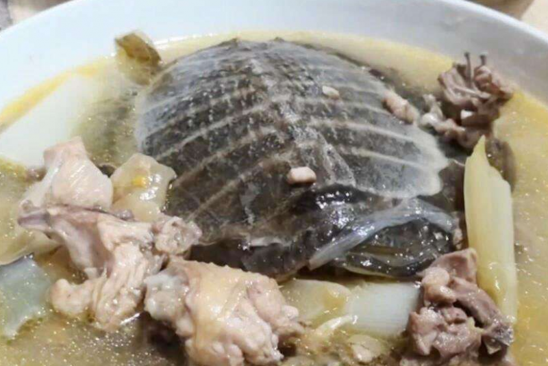 夏季食鳖的好处